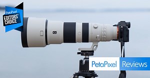 Sony 400-800mm f/6.3-8 G Review: A Wildlife Photography Champion