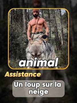 Did the rescued animal grow up to be a wolf? #animalrescue #rescue #animal