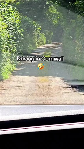 Driving in Cornwall: Humorous Moments on Narrow Roads