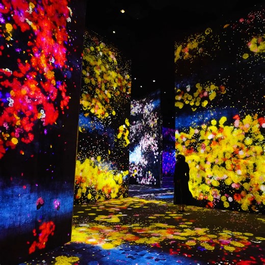 On view at “teamLab Borderless: MORI Building DIGITAL ART MUSEUM” Azabudai Hills, Tokyo Permanent https://www.teamlab.art/e/tokyo/ ・ Artworks move out of rooms, relate to other works, influence each other, and at times intermingle, without boundaries. Through this group of works, one continuous world without boundaries is created. Immerse your body in borderless art. Wander, explore with intention, discover, and create a world with others. ・ 「森ビル デジタルアート ミュージアム：エプソン チームラボボーダレス」 東京, 麻布台ヒルズ 常設 htt