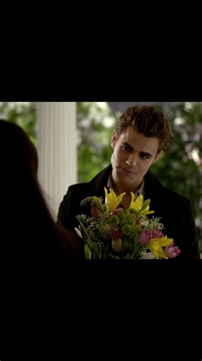 Stefan Salvatore: The Heart of Elena Gilbert's Story