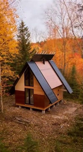 Tiny Timber Frame Build