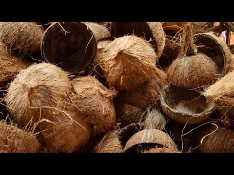 How to make curry soup bowl using coconut shell | Handcrafted work