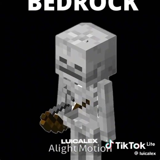 bedrock skeleton vs java skeleton