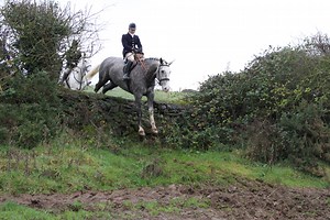 12 ways hunting in Ireland differs from the UK - Horse & Hound
