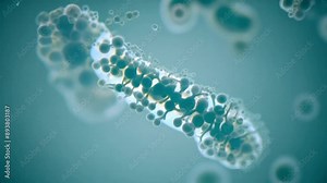 Abstract close-up of bacteria under a microscope, showcasing intricate patterns and cellular structures, highlighting scientific and biological details.