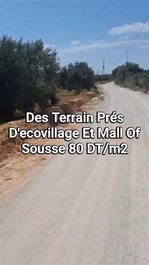 🚩IMMOBILIÈRE LA PERLE DU SAHEL Met en Vente un Lotissement de différentes superficies à partir de 800 m2 et plus , Situer Prés de Ecovillage dans une zone stratégique pour le proche avenir , Prix légèrement discutable pour les sérieux , 💰💲 80 DT / Le m2 💰💲 🚩 Soyez les bienvenus à Notre AGENCE IMMOBILIÈRE LA PERLE DU SAHEL ou bien contacté ☎ Fix : 73272196 ☎ 98 276 504 / 51 220 999 / 24 276 505 / 56 506 409 🌐 Localisation De L'agence : maps.app.goo.gl/3oJqw6oHsTg3krMP8 📷 Instagram : insta