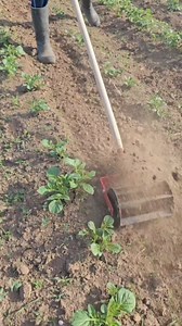 Ručna freza za okopavanje vrta | Proizvodnja voća i povrća