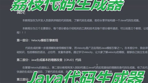 Java代码生成器荔枝代码生成器教程简介 软件开发定制