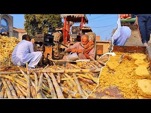 I Turned Sugarcane Juice Into Organic Jaggery Powder!