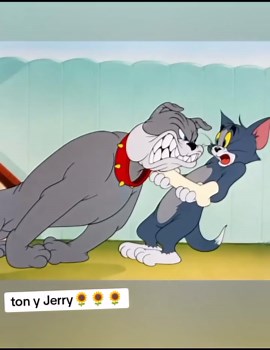 Divertidos clips de Tom y Jerry para niños