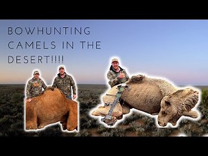 Bowhunting CAMELS in WESTERN AUSTRALIA!!! with JOSHUA HAINES!!!