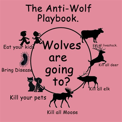 4.7K views · 171 reactions | Don't believe the lies. Help us get the word out. Please consider sharing.  | Wolves of the Rockies | Facebook