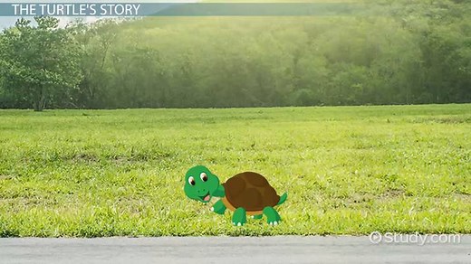 Turtle in The Grapes of Wrath | Symbolism, Metaphor & Quotes