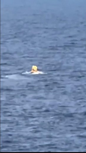 Woman rescued after falling off 10th deck of Royal Caribbean cruise ship