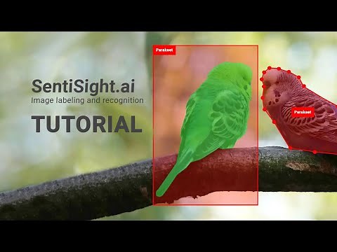SentiSight.ai object detection training tutorial