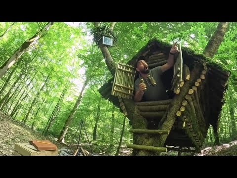 Building a primitive shelter from scratch | Sounds of nature and survival