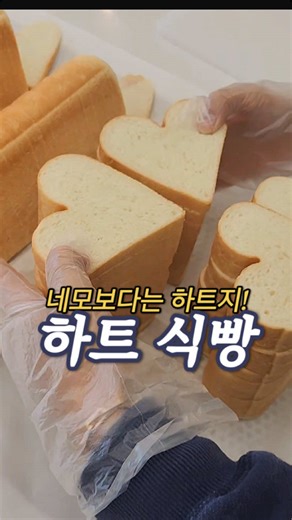 하트식빵의 매력, 월성동 최고의 맛집 추천