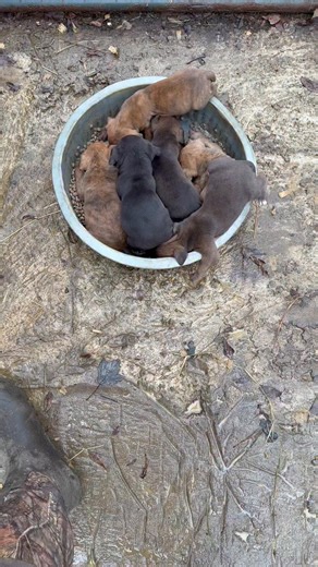 Richard Cook on Reels