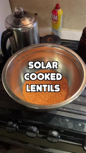 Solar cooking lentils in the Santa Ana winds! Lentils are an easy meal for those getting started with solar cooking. ☀️ #greenliving #solarcooking #prepper