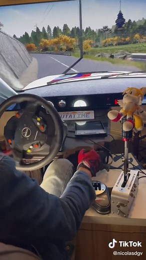 #thrustmaster #th8a #t300rs #tsshandbrake #wrc10