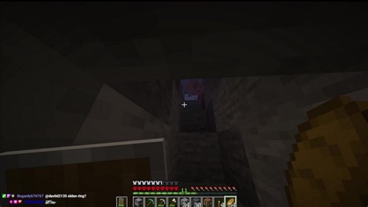First Time Playing Hardcore Minecraft (Beating It First Try)