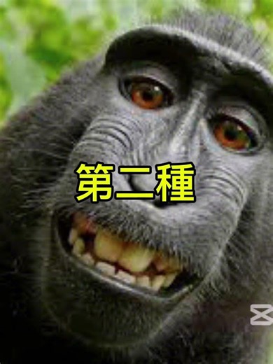 『Roblox競爭者』競爭者你會遇到的三種破事#搞笑#幽默#流量
