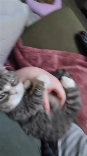 Winky on Instagram: "When you gotta sneeze that's stuck 🤧"