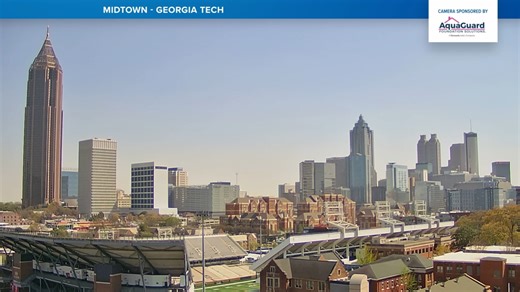 You can feel it and see it | Tree pollen has taken over Atlanta's air this weekend