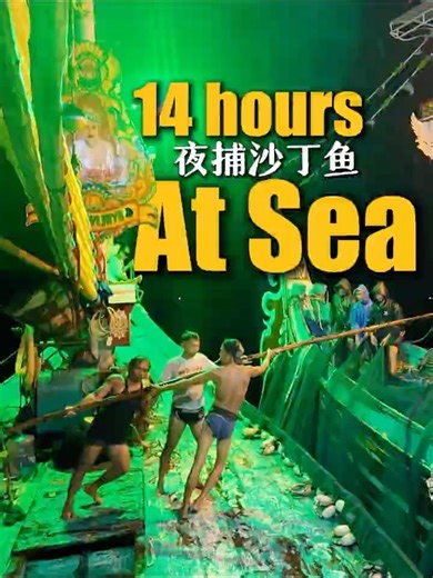 Sardine Fishing Process | 14 Hours at Sea in 60 Seconds #fishing