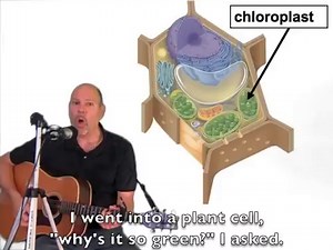 WJEC Eduqas AS Biology Component 1