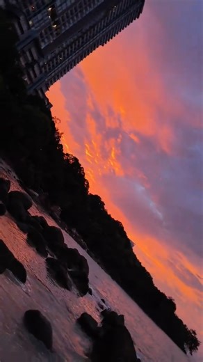 🎯 This Tiny Camera Shoots CINEMA / Don’t forget to check the description 🎰