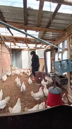 nettt😅😉 #tintedcoral #köydekidoğallık #blacknick #köyhayatı #temizlik