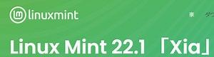 LInux Mint 22.1 ダウンロード場所と内容の説明