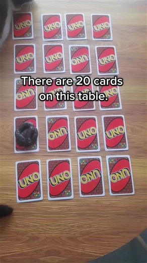 Cat Stack Challenge on TikTok