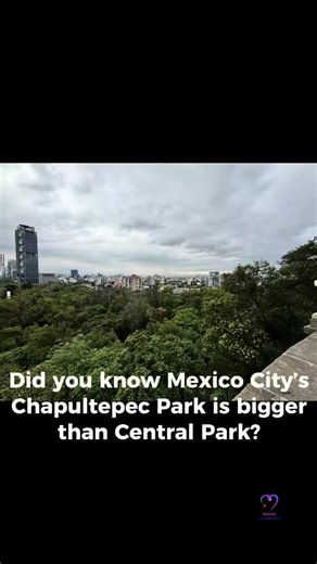 Chapultepec Park in Mexico City is nearly twice the size of Central Park in New York. My husband spent lots of time there as a kid so he was excited to be back. Inside you’ll find lakes, museums click here to see the iconic Castillo de Chapultepec, botanical gardens, and endless trails that make it the perfect escape right in the middle of CDMX. 🇲🇽🇲🇽🇲🇽🇲🇽🇲🇽 El Bosque de Chapultepec en la Ciudad de México es casi el doble del tamaño de Central Park en Nueva York. Mi esposo pasó mucho tie