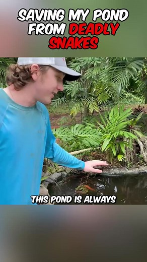 DEADLY SNAKES Wanted To EAT MY FISH!? | Bass Fishing Productions