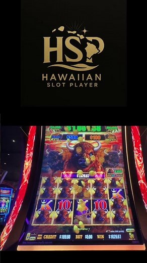 Buffalo Link – My BIGGEST Buffalo Count EVER! 14 Buffalos!