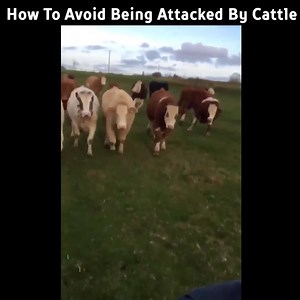 Running and Workout Tips on Reels