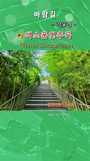 바람길 장윤정 테너색소폰 연주곡 #추억소환 #일상탈출 #취미활동