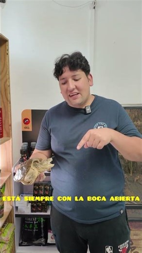 No todas las tortugas son tranquilas #animal #animales #mascotas #mascota #tortuga #tortugas #reptil