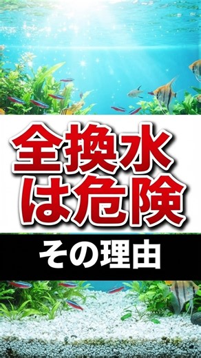 Can I Change All the Aquarium Water? Here’s Why!🐟 #Aquarium #WaterChange #FishTank #NationwideMai...