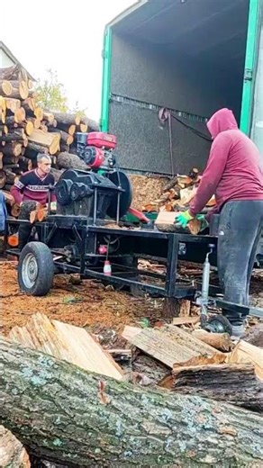 Best Log Splitter #firewood