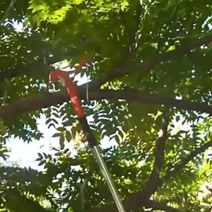 High Altitude Pruning Shear Tree Branch Scissors Pulley Design Tree Trimmer with Rope Fruit Tree Pruning Cutter for Cutting Branches, Black