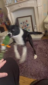 Watch Barney’s reaction | Stephen Kelleher