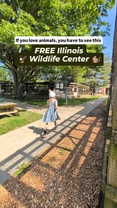 3.2K reactions · 81 comments | ️ How adorable are those baby...