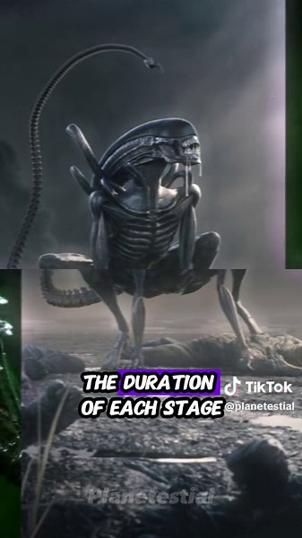Xenomorph Lifespan: How Long Do Xenomorphs Live?