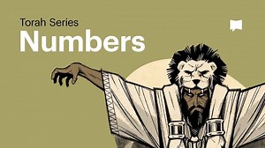 Numbers | Torah: Book Collections | The Bible Project - Season 1 - Formed