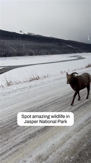 87K views · 1.1K reactions | Here are 5 things you NEED to do in...