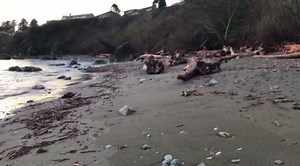 1.8K views · 193 reactions | Brookings Harbor Oregon on Reels | Facebook